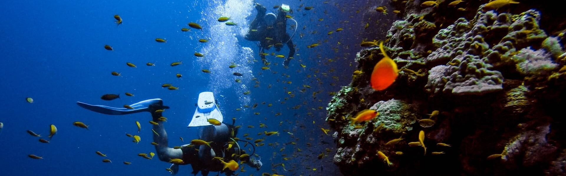 Scuba Diving Charter in Boyton Beach