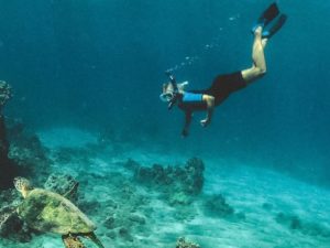 Molokini and Turtle Arches Snorkeling Trip