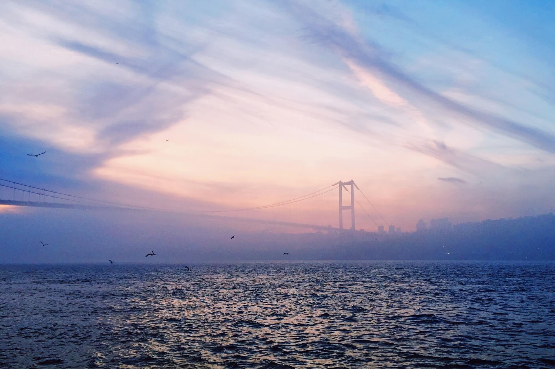 Bosphorus Strait and Black Sea Half-Day Cruise from Istanbul – Bild 3